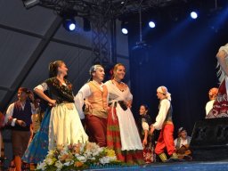 Festival de Folkore en Mula